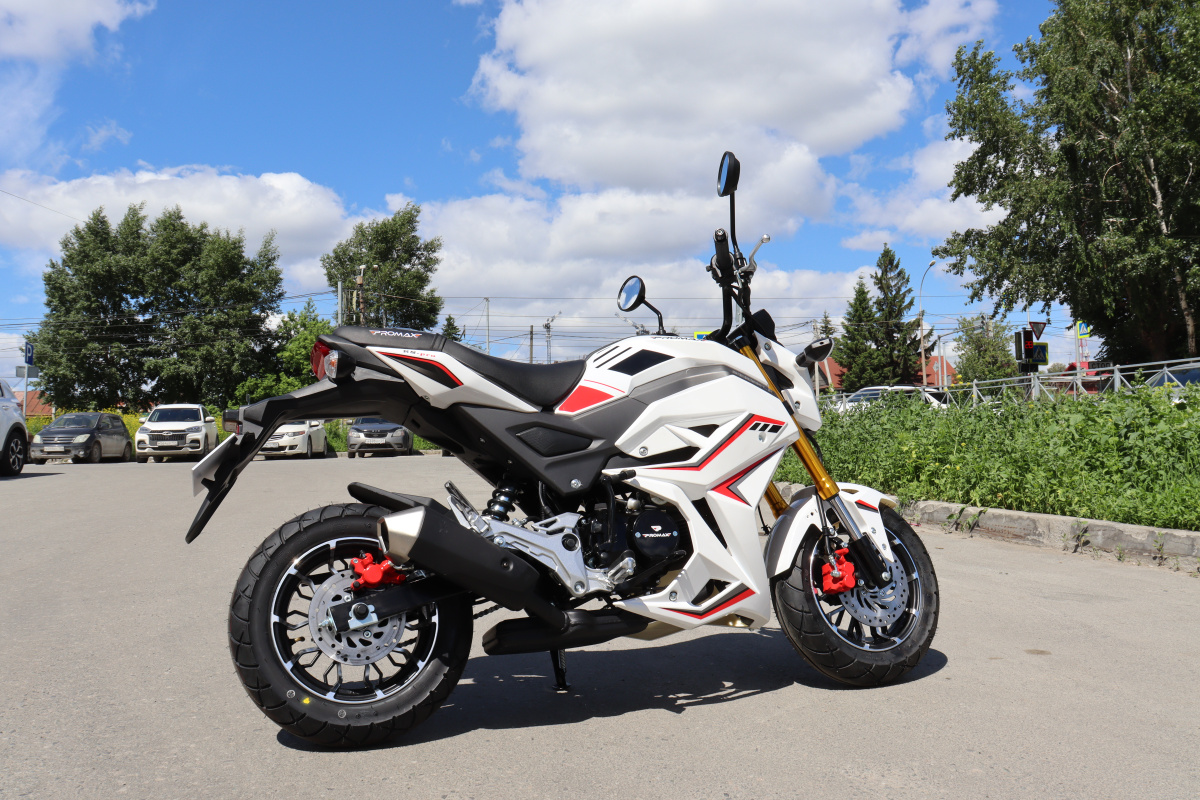 Мотоцикл PROMAX STRYKER 200(49) 2.0 в Якутске