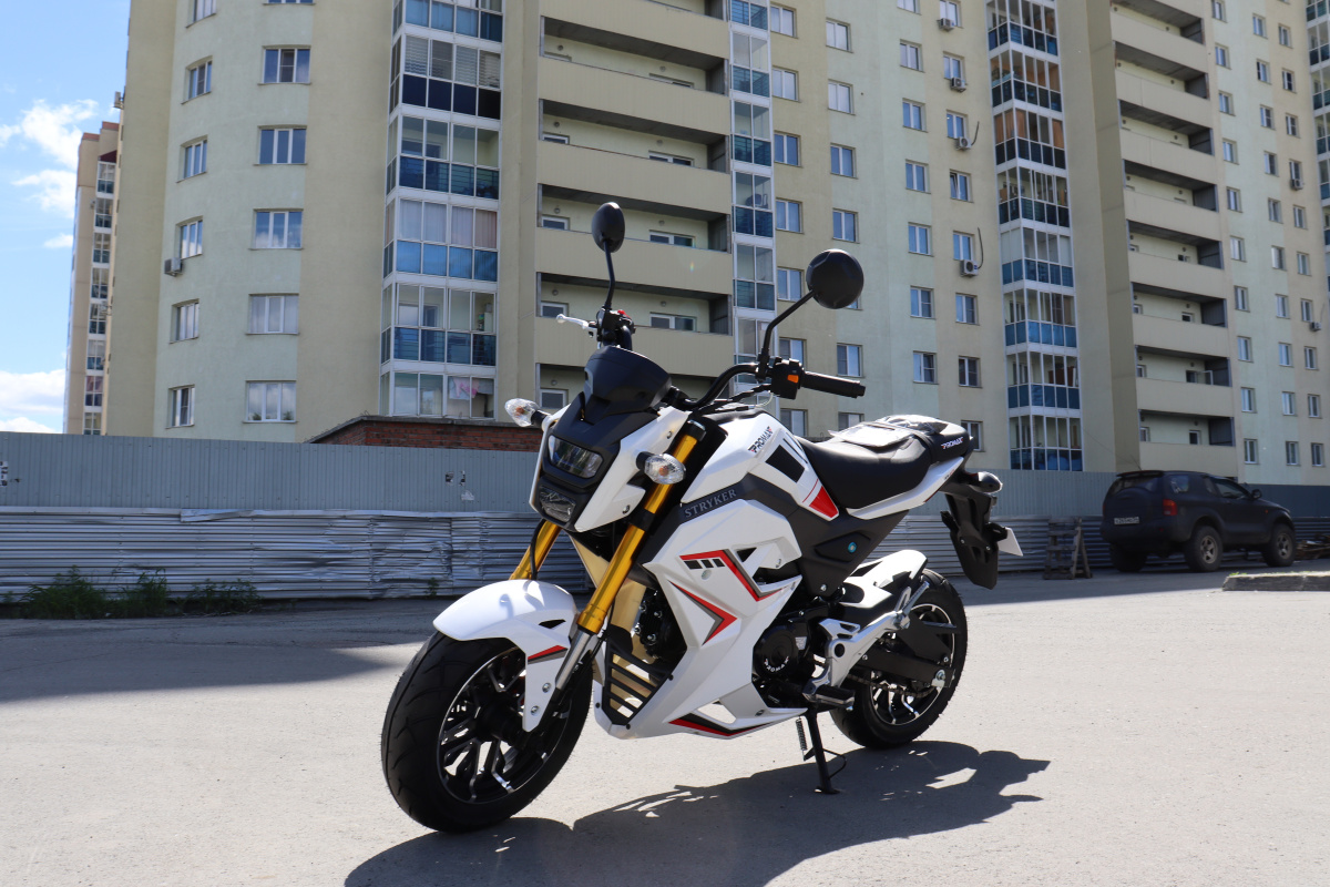 Мотоцикл PROMAX STRYKER 200(49) 2.0 в Якутске