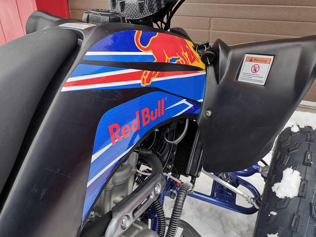 Квадроцикл PROMAX RAPTOR 300 NEW RedBull в Якутске