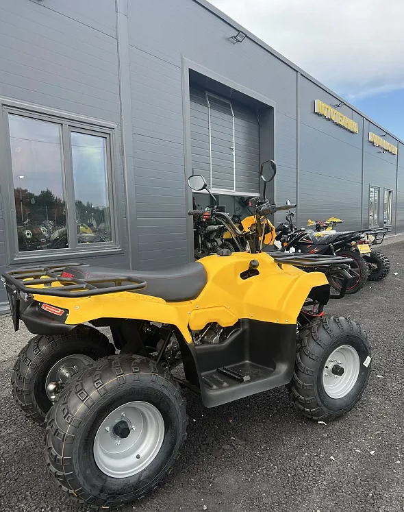 КВАДРОЦИКЛ IRBIS ATV 250  в Якутске