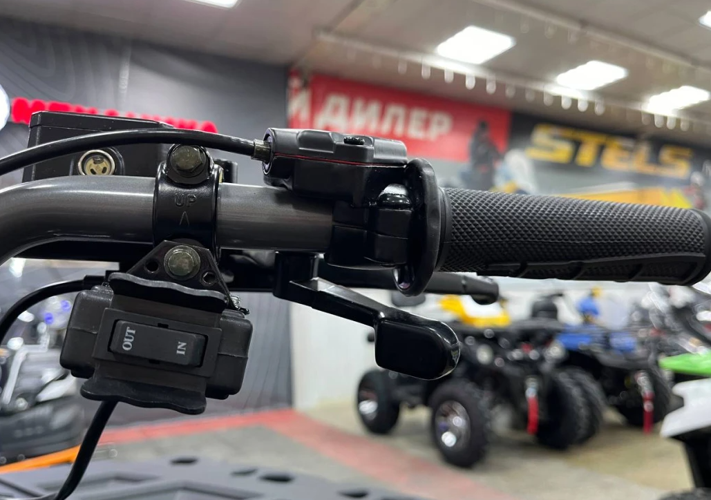 Квадроцикл PROMAX RENEGADE 300 LONG WINCH PRO в Якутске