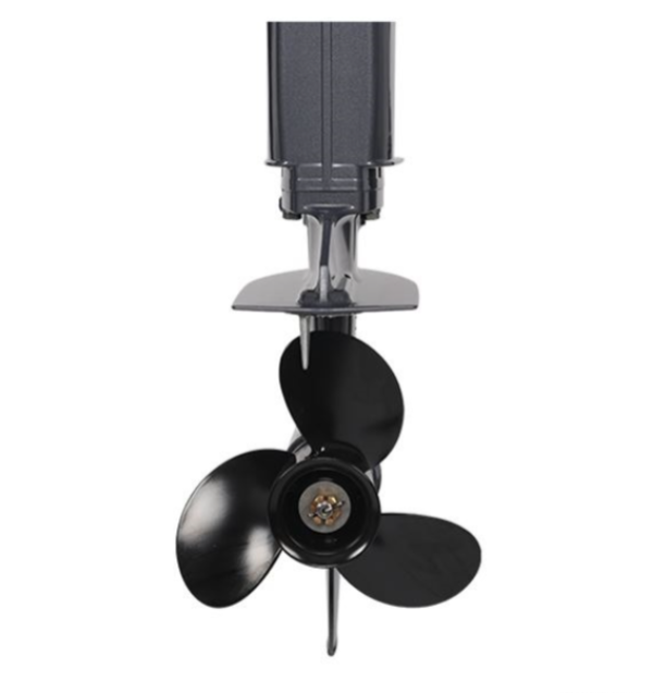 Лодочный мотор ALLFA CG Т40FW S в Якутске