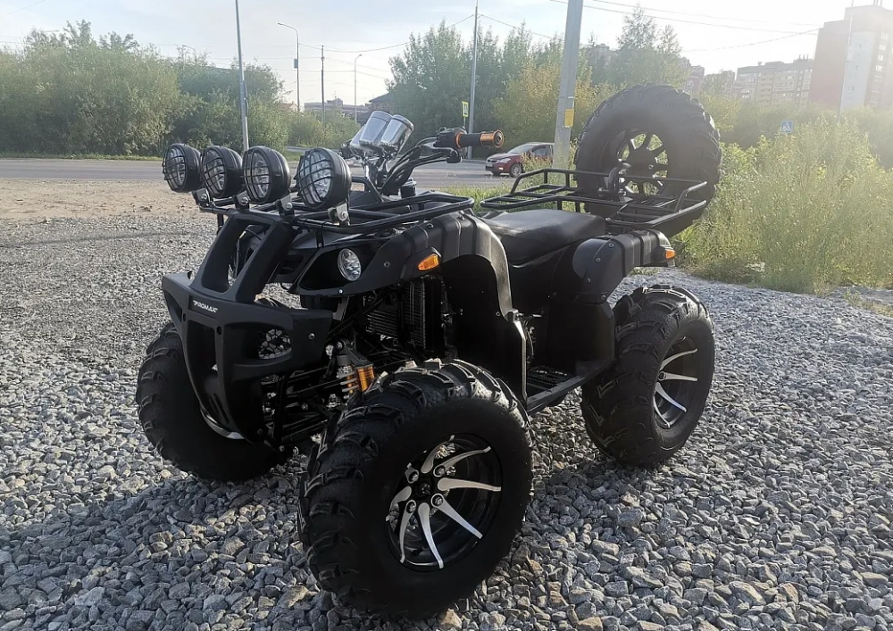 Квадроцикл PROMAX LEO 300 Max (кардан) в Якутске