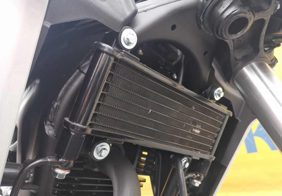 Мотоцикл MOTOLAND (МОТОЛЕНД) 250 CB250 (172FMM-5/PR250) (2022 г.) в Якутске