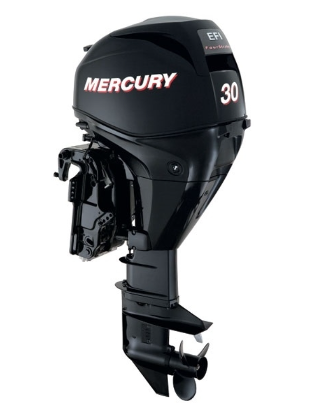 ЛОДОЧНЫЙ МОТОР MERCURY  F 30 ELH GA EFI в Якутске