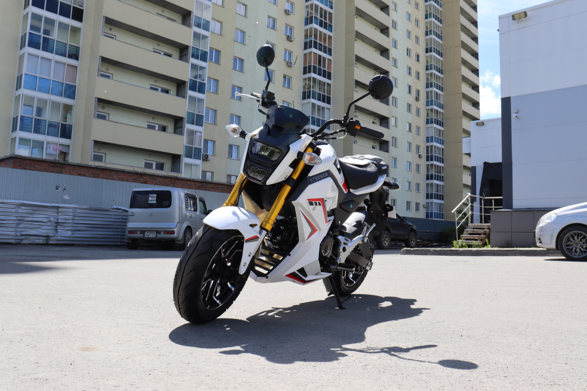 Мотоцикл PROMAX STRYKER 200(49) 2.0 в Якутске
