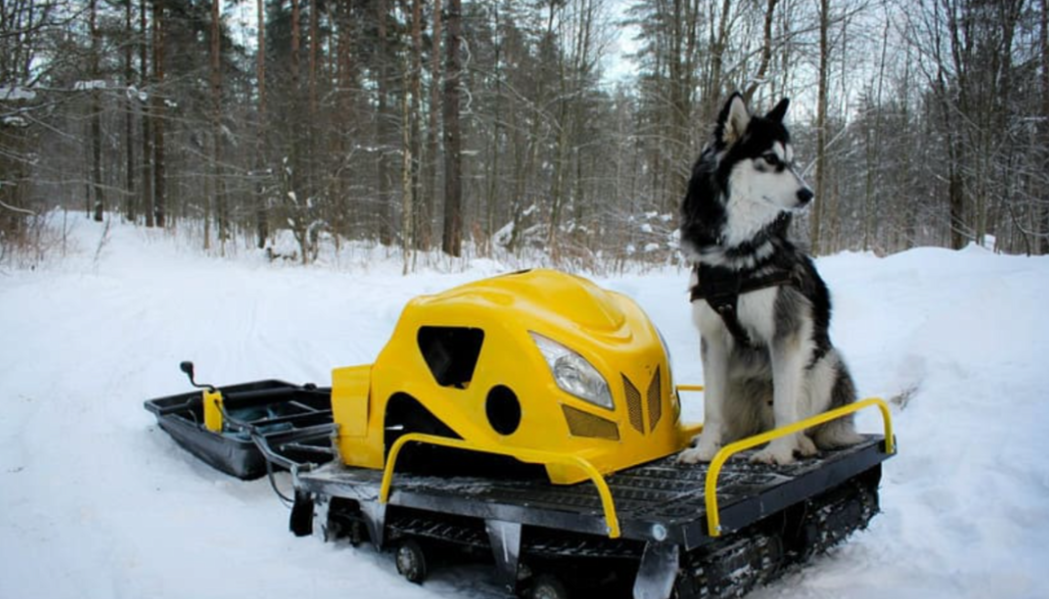 Мотобуксировщик LEBEDEV MOTORS ВОЛКОДАВ POWER V13 в Якутске