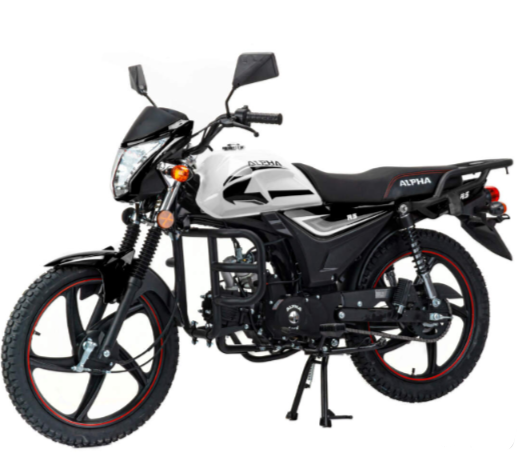 Мопед MOTOLAND (МОТОЛЕНД) Альфа RS 11 (LM48-B) в Якутске