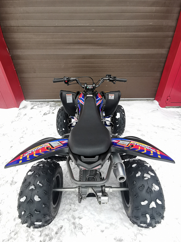 Квадроцикл PROMAX RAPTOR 300 NEW RedBull в Якутске