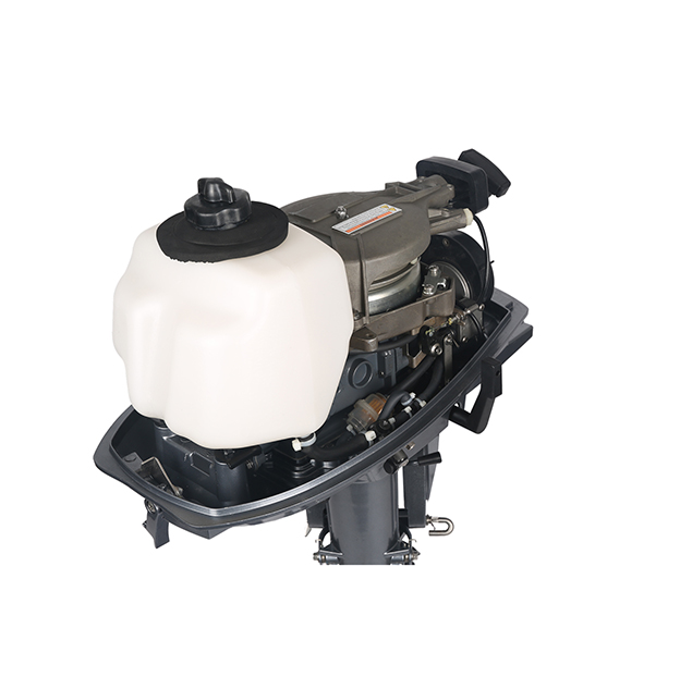 ЛОДОЧНЫЙ МОТОР ALLFA CG T5 в Якутске