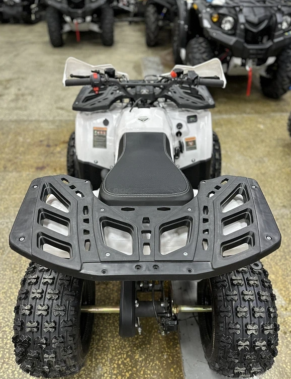 Квадроцикл PROMAX WILD 2.0 190 в Якутске