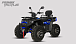 Квадроцикл PROMAX TAURUS 300 MAX-PRO LONG в Якутске