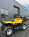 КВАДРОЦИКЛ IRBIS ATV 250  в Якутске