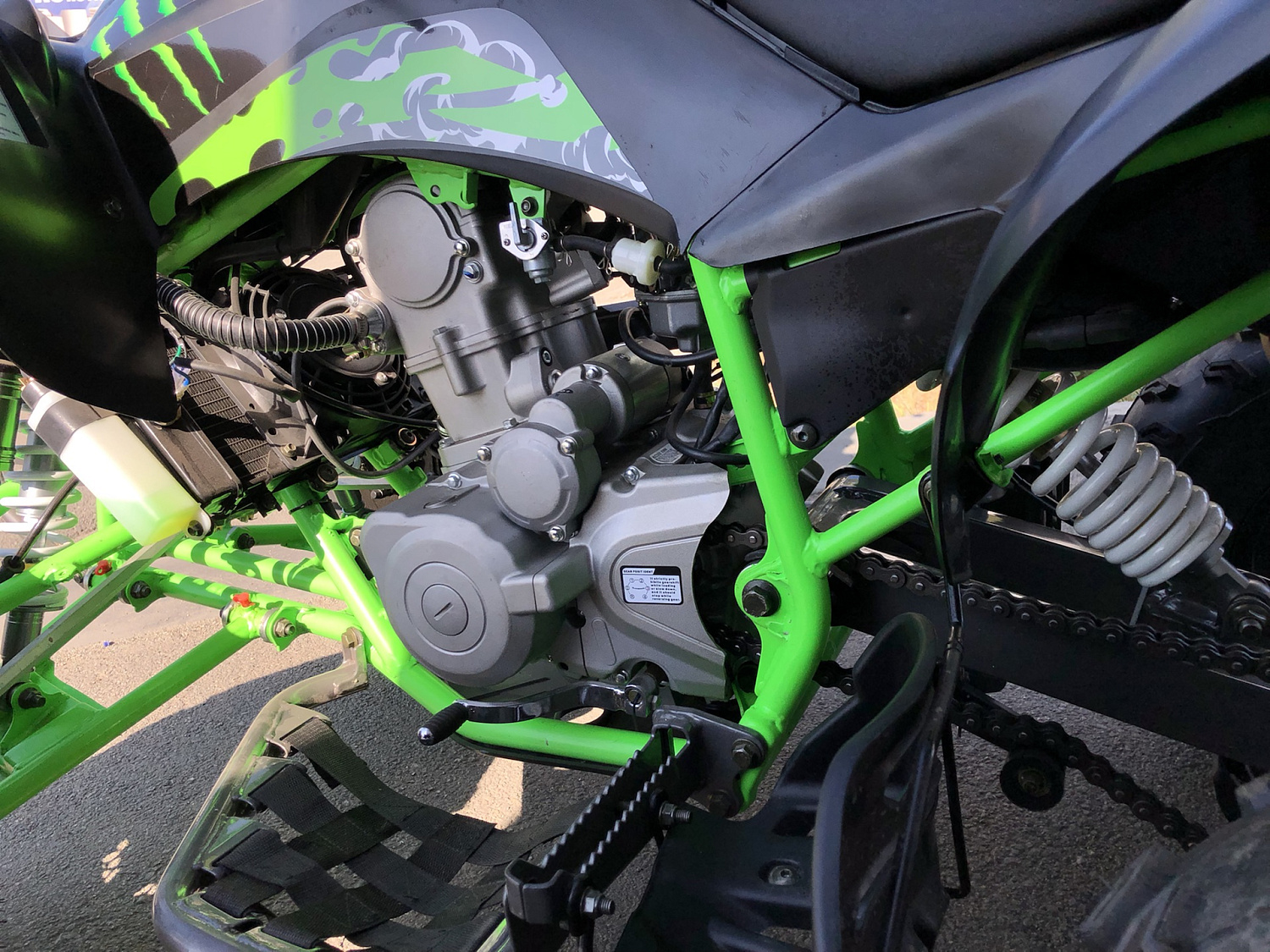 Квадроцикл PROMAX RAPTOR 300 NEW Monster в Якутске