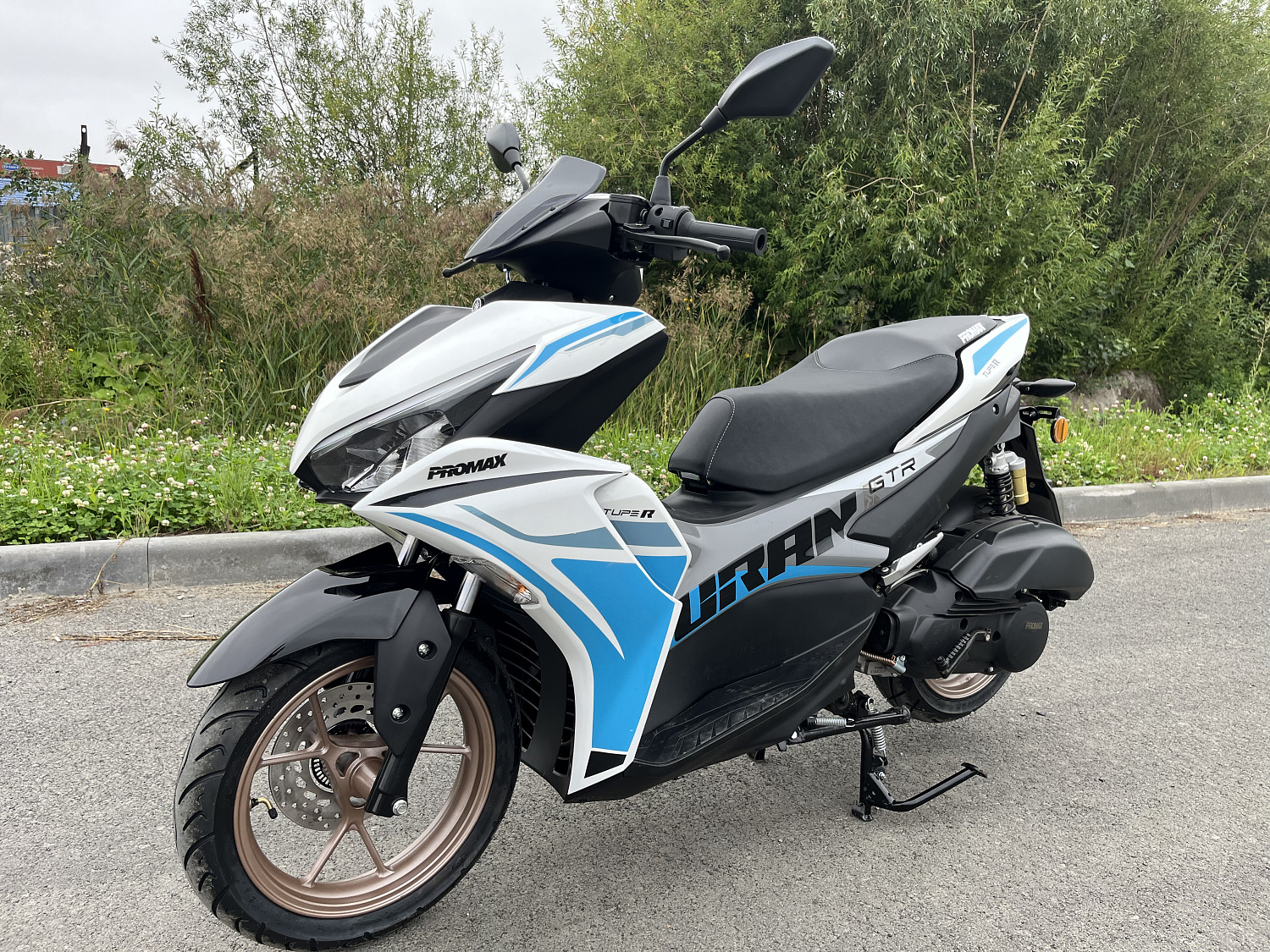 Скутер PROMAX TURAN 250 (49) в Якутске