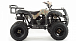 Квадроцикл MOTOLAND (МОТОЛЕНД) 200 ALL ROAD в Якутске