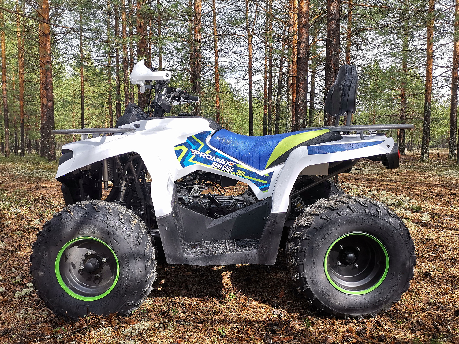 Квадроцикл PROMAX RENEGADE 280 в Якутске