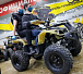 Квадроцикл PROMAX ATV 250 в Якутске
